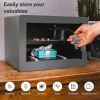 Tủ khóa kỹ thuật số an ninh tối đa YSFM/250/EG1 với truy cập bằng vân tay và mã PIN - Màu xám